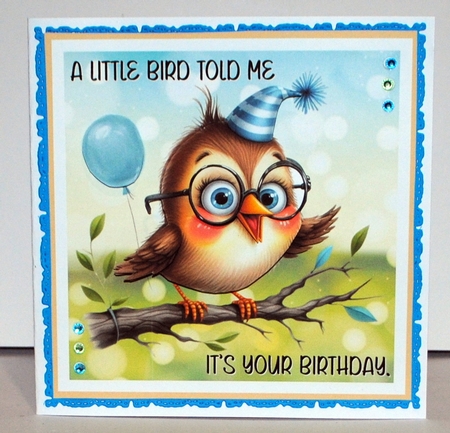 Little Bird by Kristina Norbat