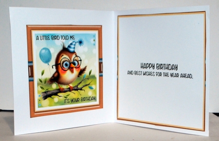 Little Bird by Kristina Norbat