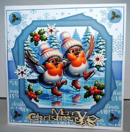 Skating Robins 8x8 by Kristina Norbat