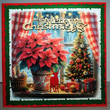 Christmas Poinsettia by Kristina Norbat
