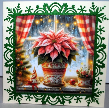 Christmas Poinsettia by Kristina Norbat