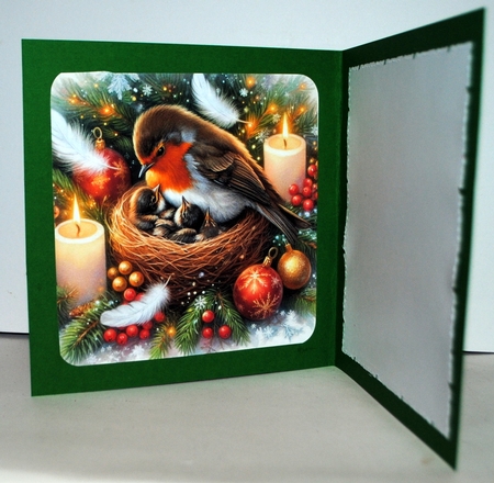 Christmas Mother Robin  by Kristina Norbat