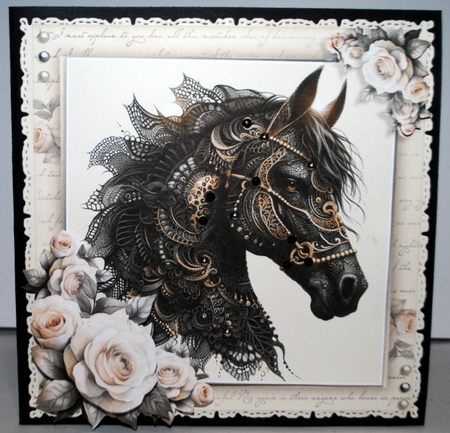 Black Beauty by Kristina Norbat