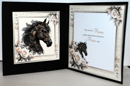 Black Beauty by Kristina Norbat
