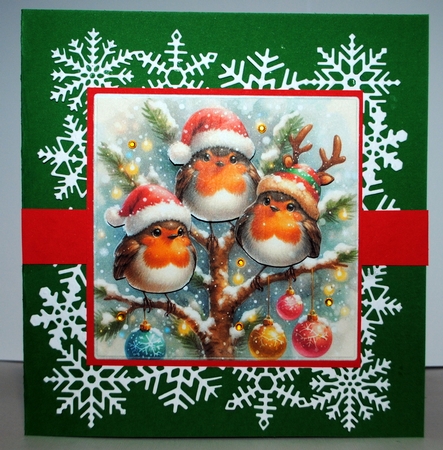 Festive Robin Branch  by Kristina Norbat