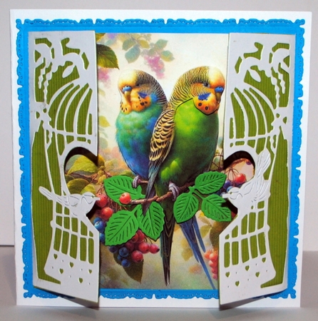 Budgerigar 2 by Kristina Norbat