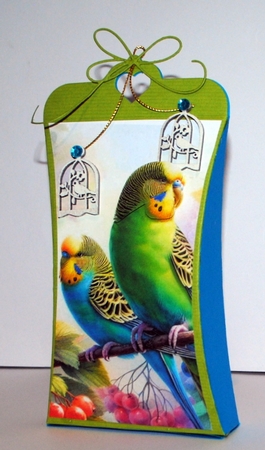 Budgerigar 2 by Kristina Norbat