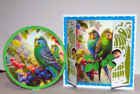 Budgerigar 2 by Kristina Norbat
