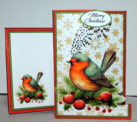 Cutaway front Robin & berries by Kristina Norbat