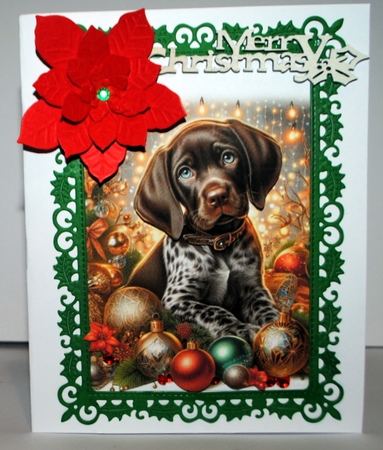 Holiday Paws & Sparkles 2 by Kristina Norbat