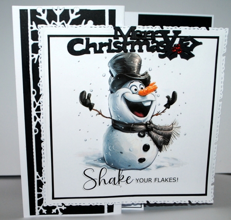 Shake Your Flakes! by Kristina Norbat