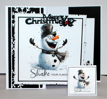Shake Your Flakes! by Kristina Norbat