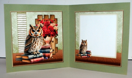Wise Owl Mini Kit by Kristina Norbat