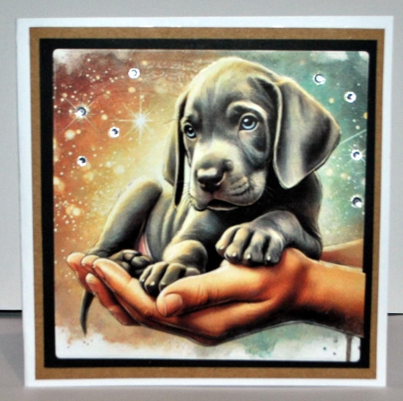 Palmful of Puppy Love 14 by Kristina Norbat