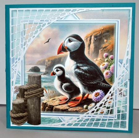 A Puffins View by Kristina Norbat