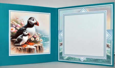 A Puffins View by Kristina Norbat