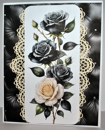 Black & White Roses Floral Corners & Borders by Kristina Norbat