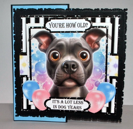 Youre HOW Old by Kristina Norbat