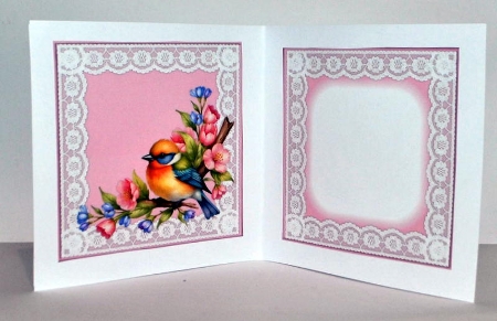 Spring Bird Mini Kit by Kristina Norbat