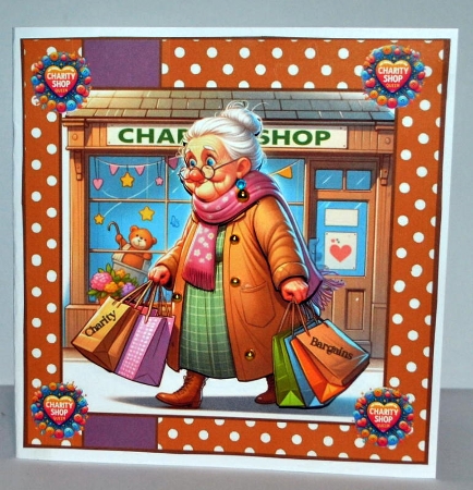 Lena loves a charity shop by Kristina Norbat