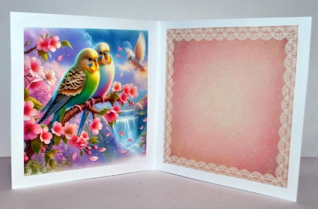 Waterfall Budgies by Kristina Norbat