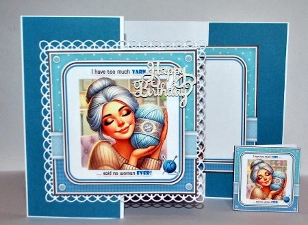 Too Much Yarn Mini Kit by Kristina Norbat