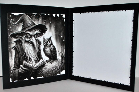 Wizard with magic book REQUESTED by Kristina Norbat
