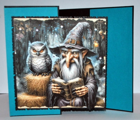 Wizard reading ancient spells REQUESTED by Kristina Norbat