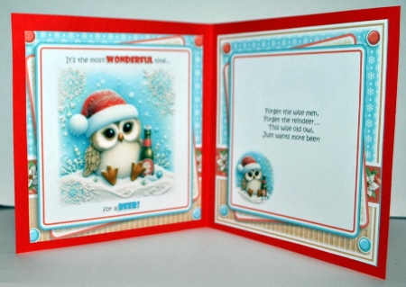 Owl Be Drunk This Christmas! by Kristina Norbat