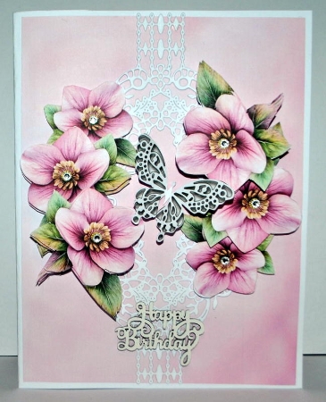 Step By Step Orchids by Kristina Norbat