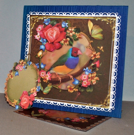 Gouldian Finch Card Front Kit by Kristina Norbat