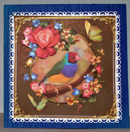Gouldian Finch Card Front Kit by Kristina Norbat