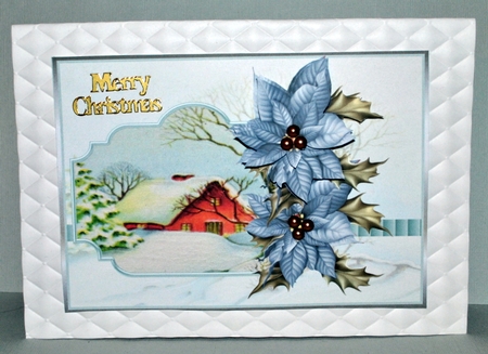 Blue poinsettias  by Kristina Norbat