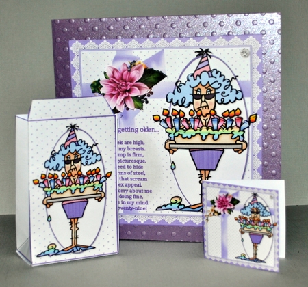 8x8 Stella an ode about getting older mini kit by Kristina Norbat