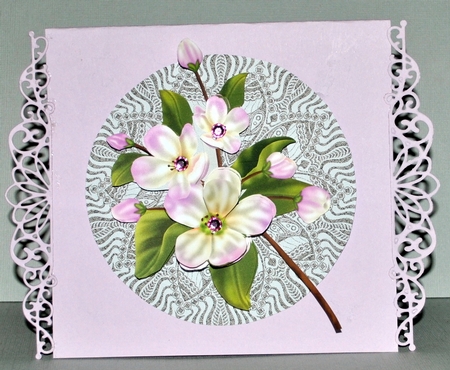 Lace Doilies and Apple Blossoms by Kristina Norbat