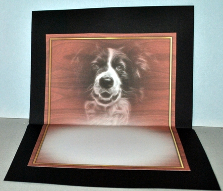 Collie Pyramage Mini Kit by Kristina Norbat