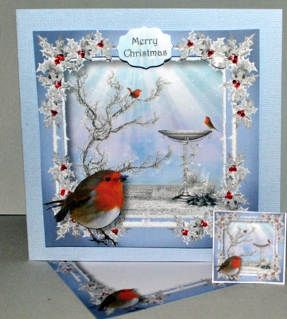 The Winter Robin by Kristina Norbat