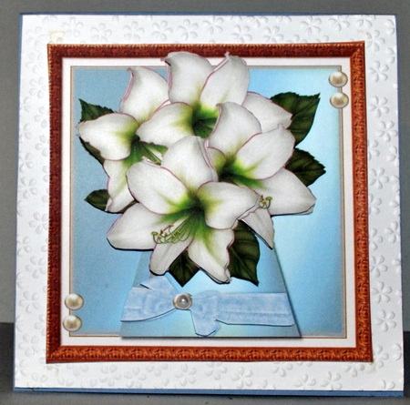 Gorgeous Amaryllis In Vase Mini Kit by Kristina Norbat