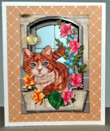Gorgeous  Cat In Window by Kristina Norbat