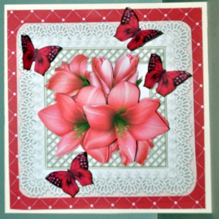 Amaryllis & Butterflies Mini Kit by Kristina Norbat