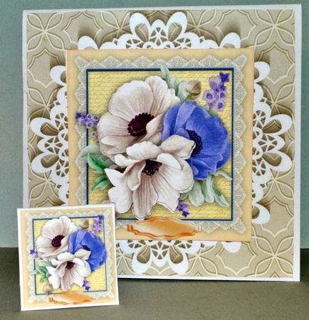 Beautiful Anemones on a Script mat  by Kristina Norbat