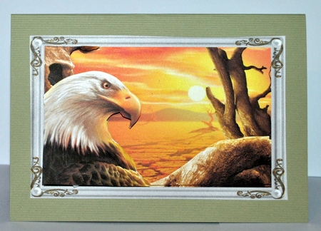 Eagle by Kristina Norbat