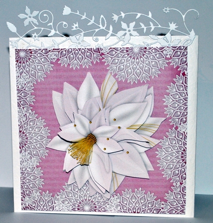 Pretty flowers by Kristina Norbat