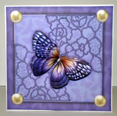 Butterfly beauty Quick card by Kristina Norbat