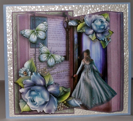 Once Upon A Time Over The Edge Book  by Kristina Norbat