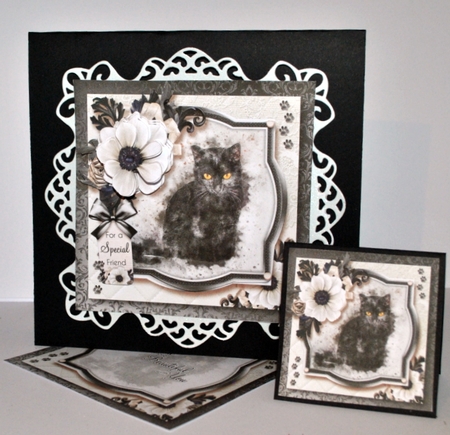 The Little Black Kitten by Kristina Norbat