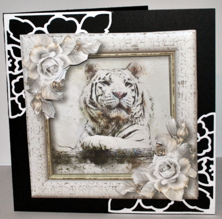 The White Tiger by Kristina Norbat