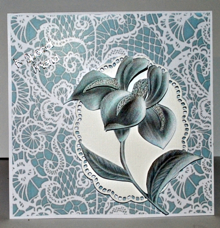 10 CU Lace Background Pastel Colors by Kristina Norbat