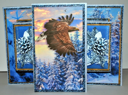 Pop Out Tri Shutter Card O Kit.2 by Kristina Norbat
