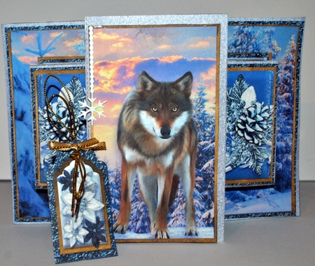 Pop Out Tri Shutter Card O Kit.3 by Kristina Norbat